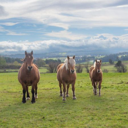 Gite Gite De La Grangette 5/6 Personnes Grandrieu ภายนอก รูปภาพ